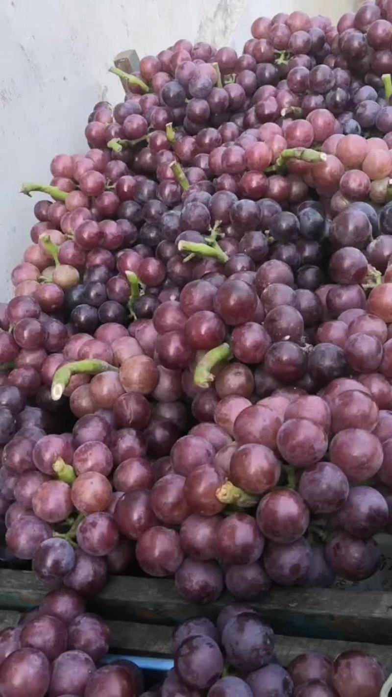 夏黑葡萄