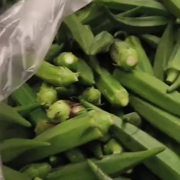 水果秋葵