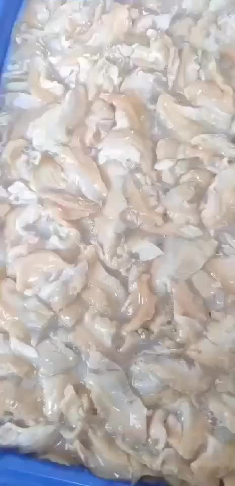 蚌肉
