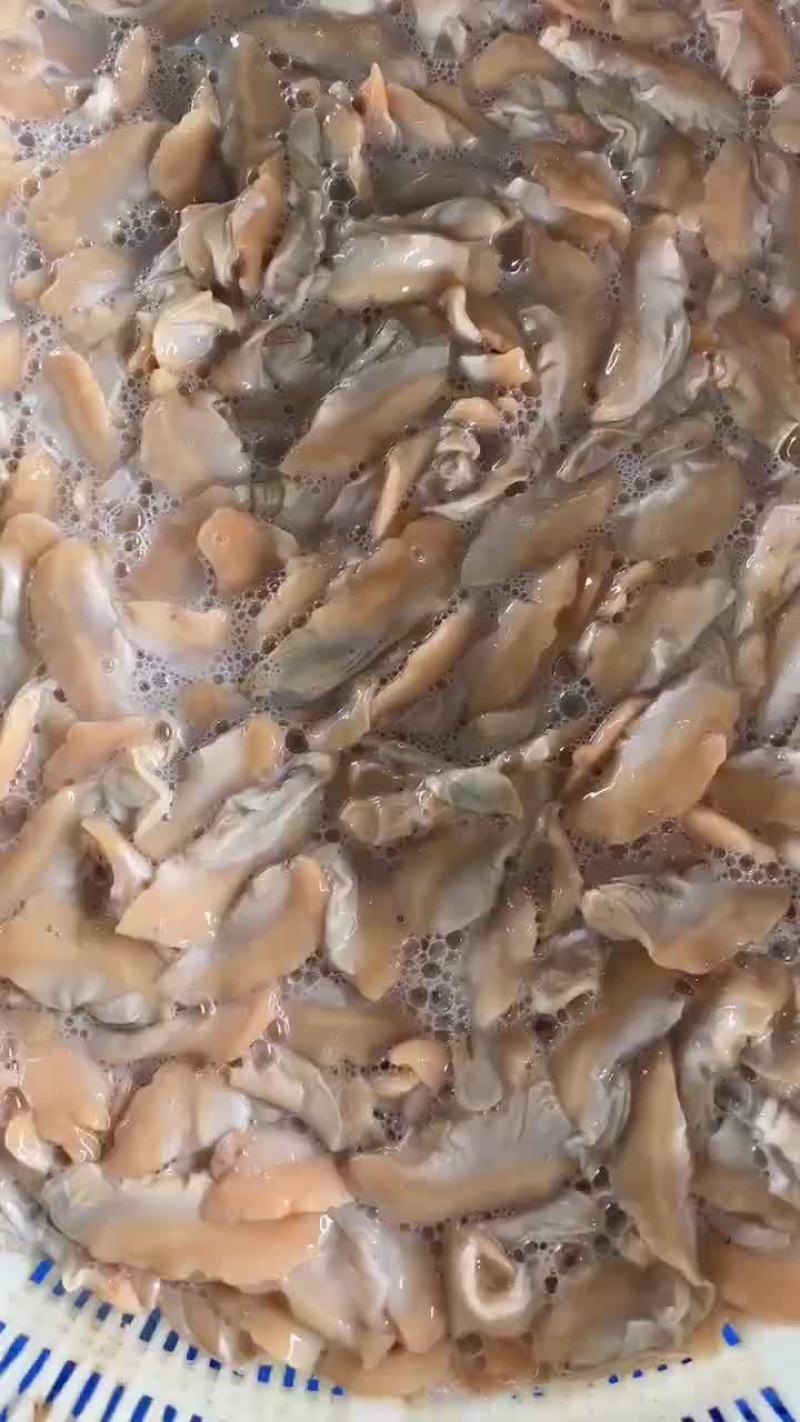蚌肉