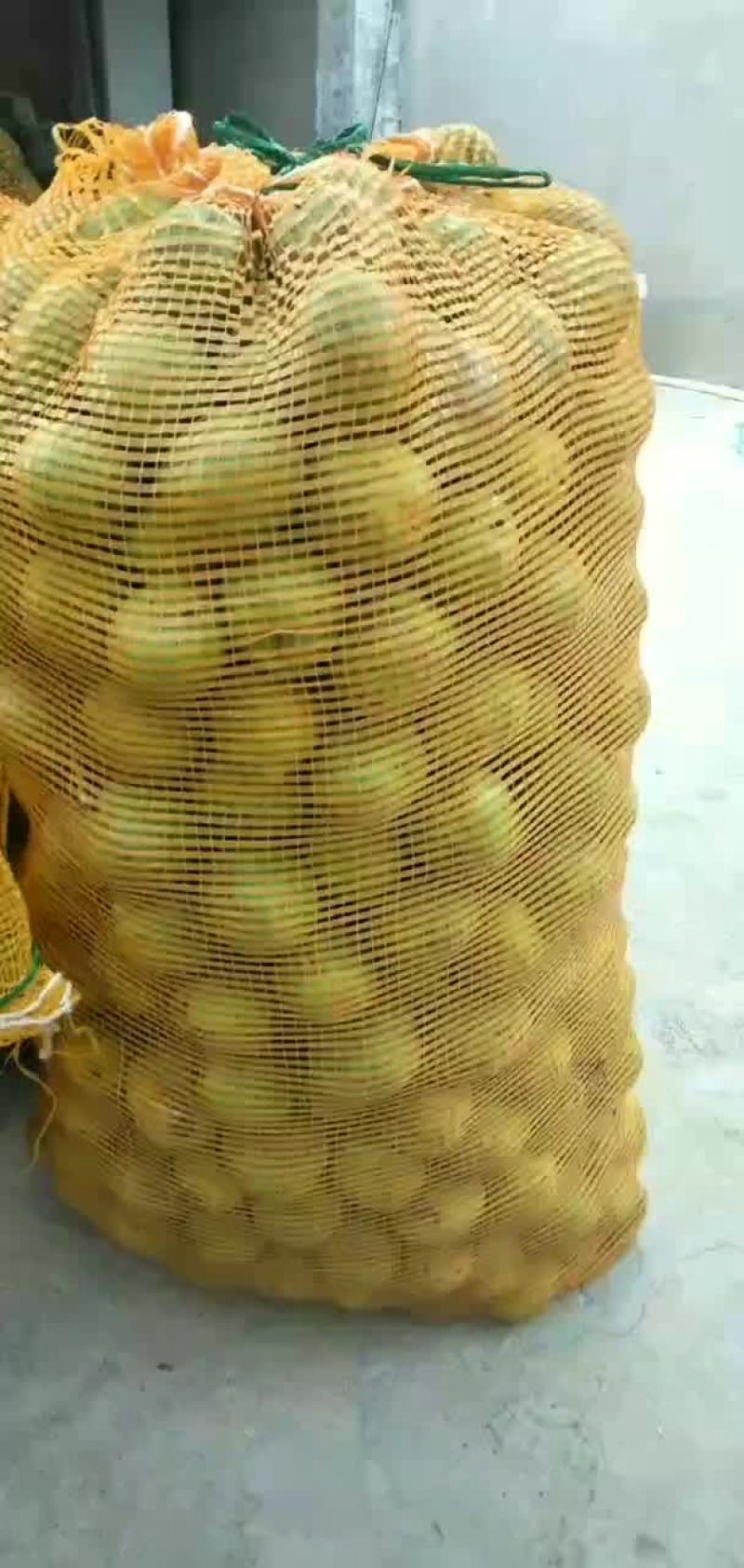 青皮核桃