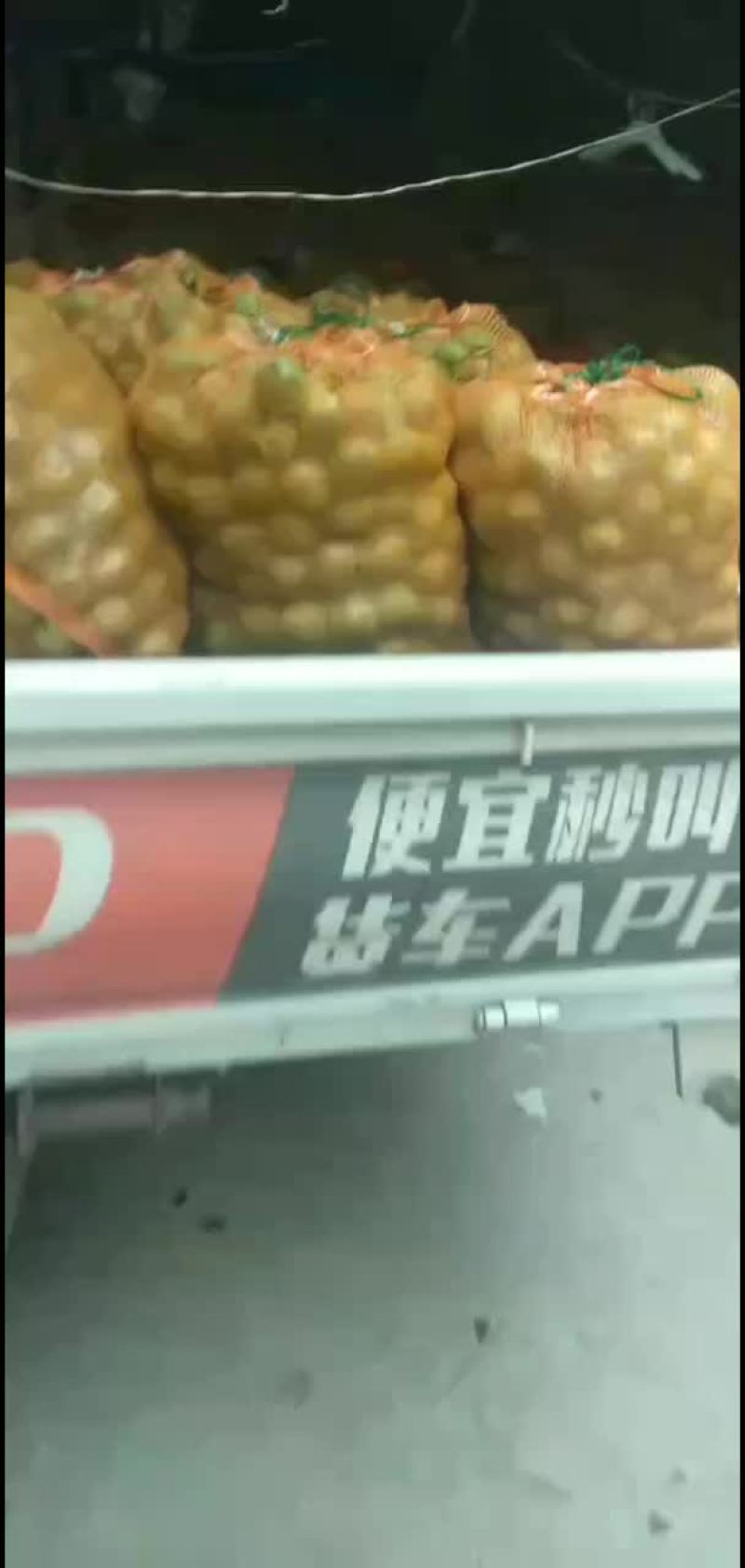 青皮核桃
