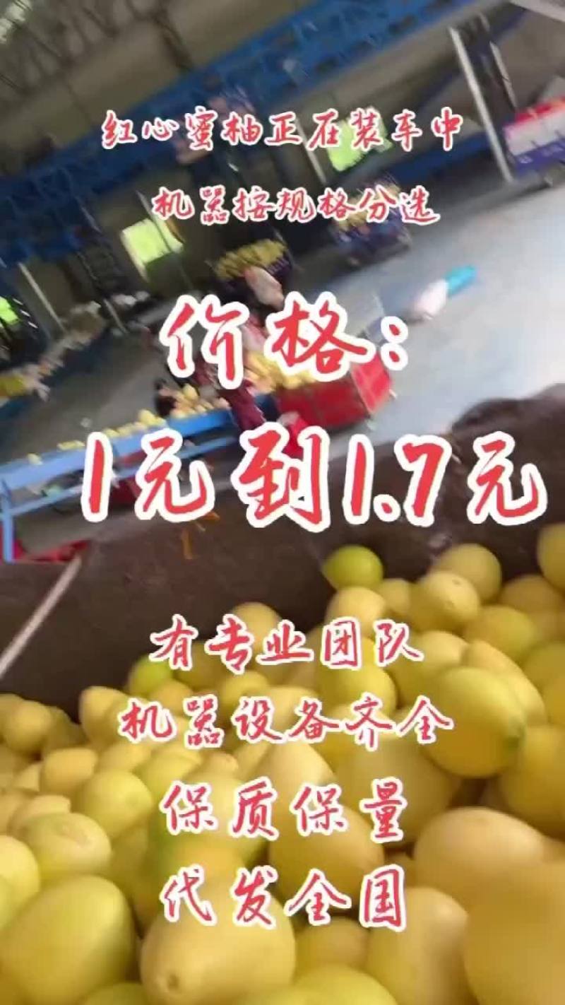 东试早柚西双版纳傣族自治州