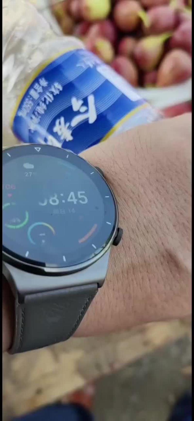 河南无花果，无花果苗