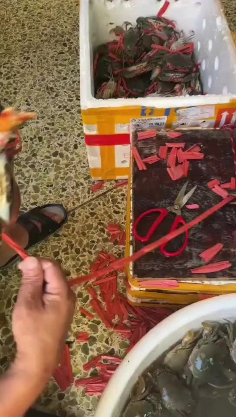 肉蟹