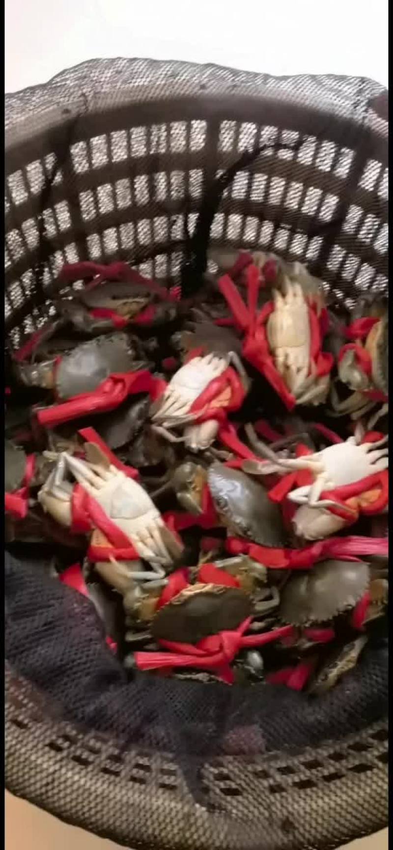 肉蟹