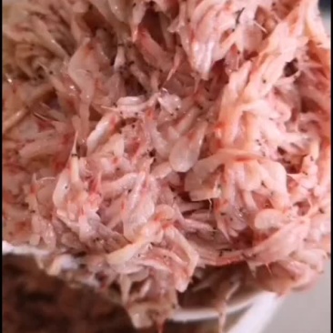 鲜虾酱，未发酵的鲜虾米