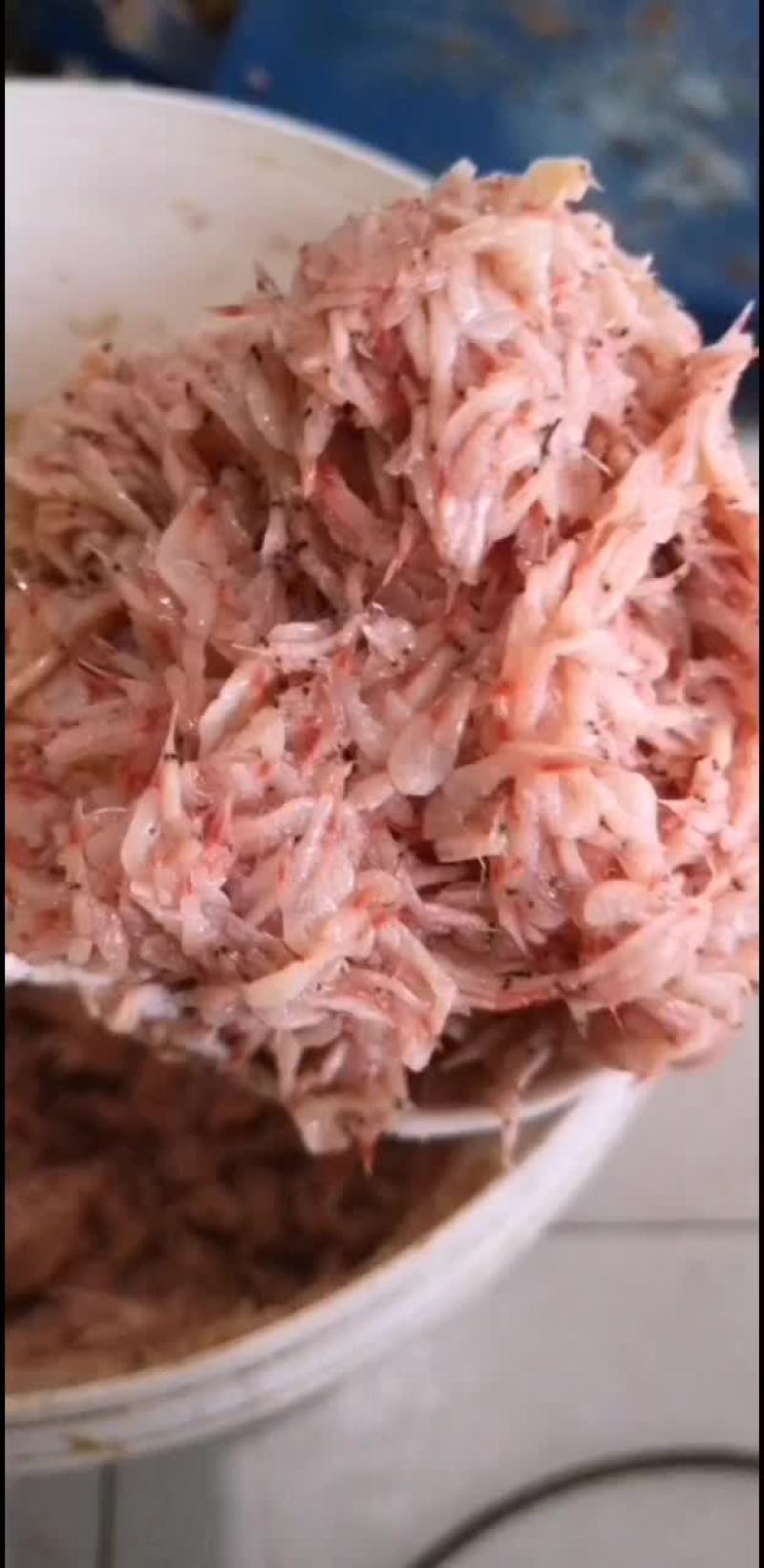 鲜虾酱，未发酵的鲜虾米