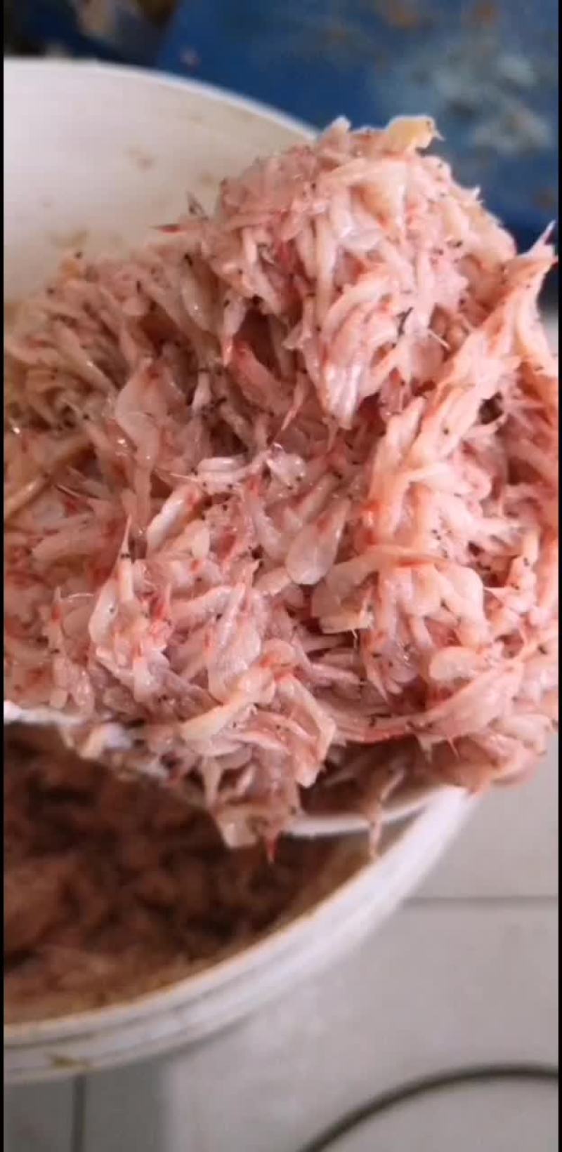 鲜虾酱，未发酵的鲜虾米
