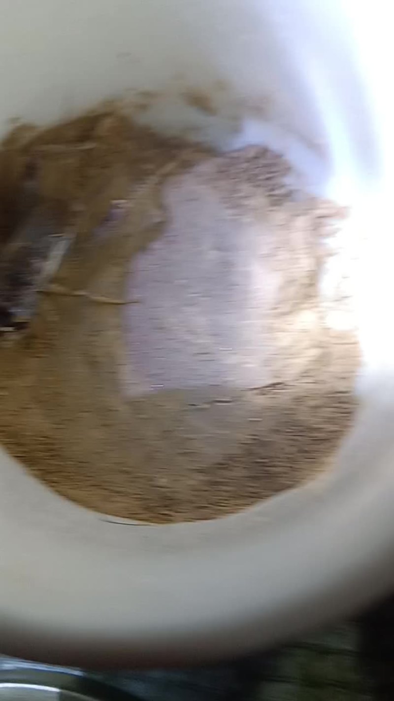 出售精品活体蛐蛐