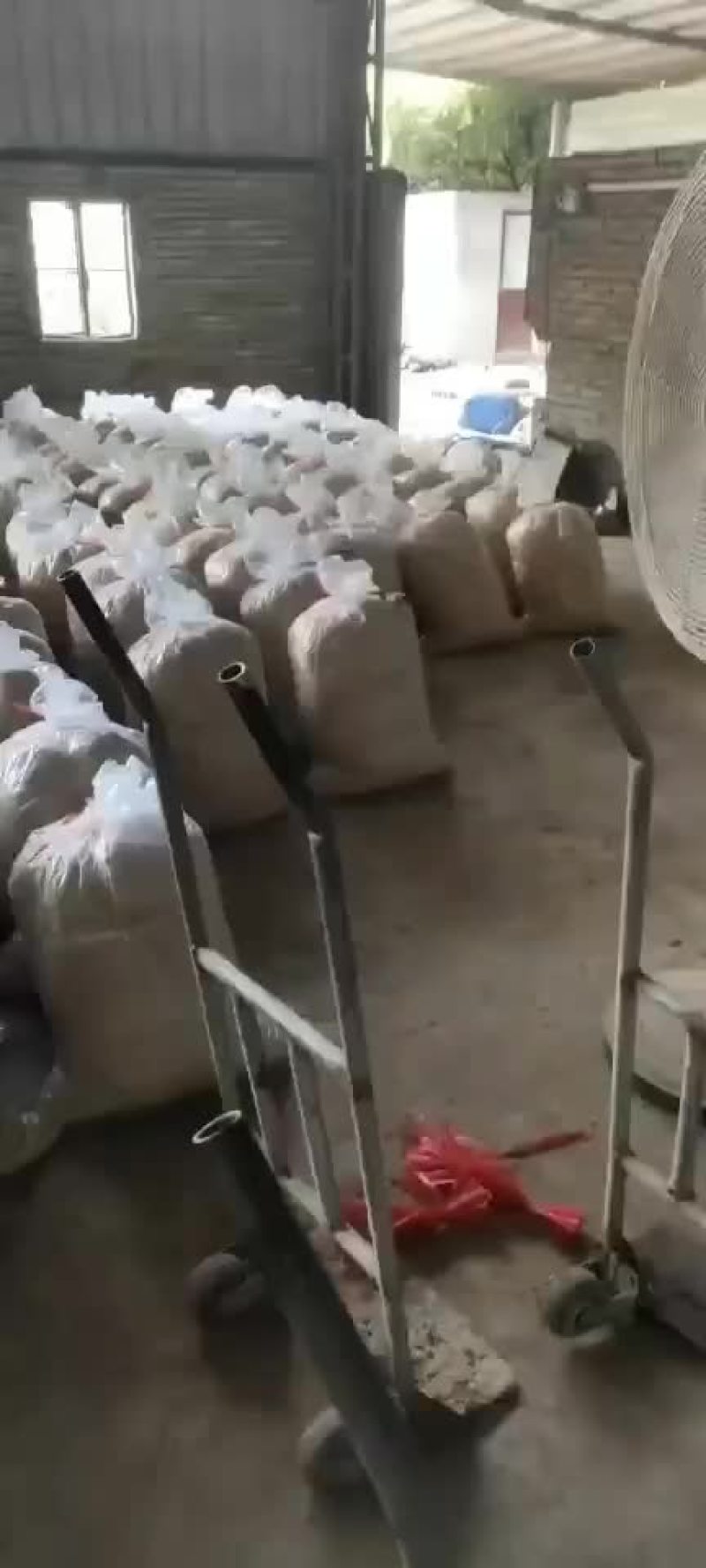 专业发酵料，厂在惠州，欢迎各位老板到厂指导
