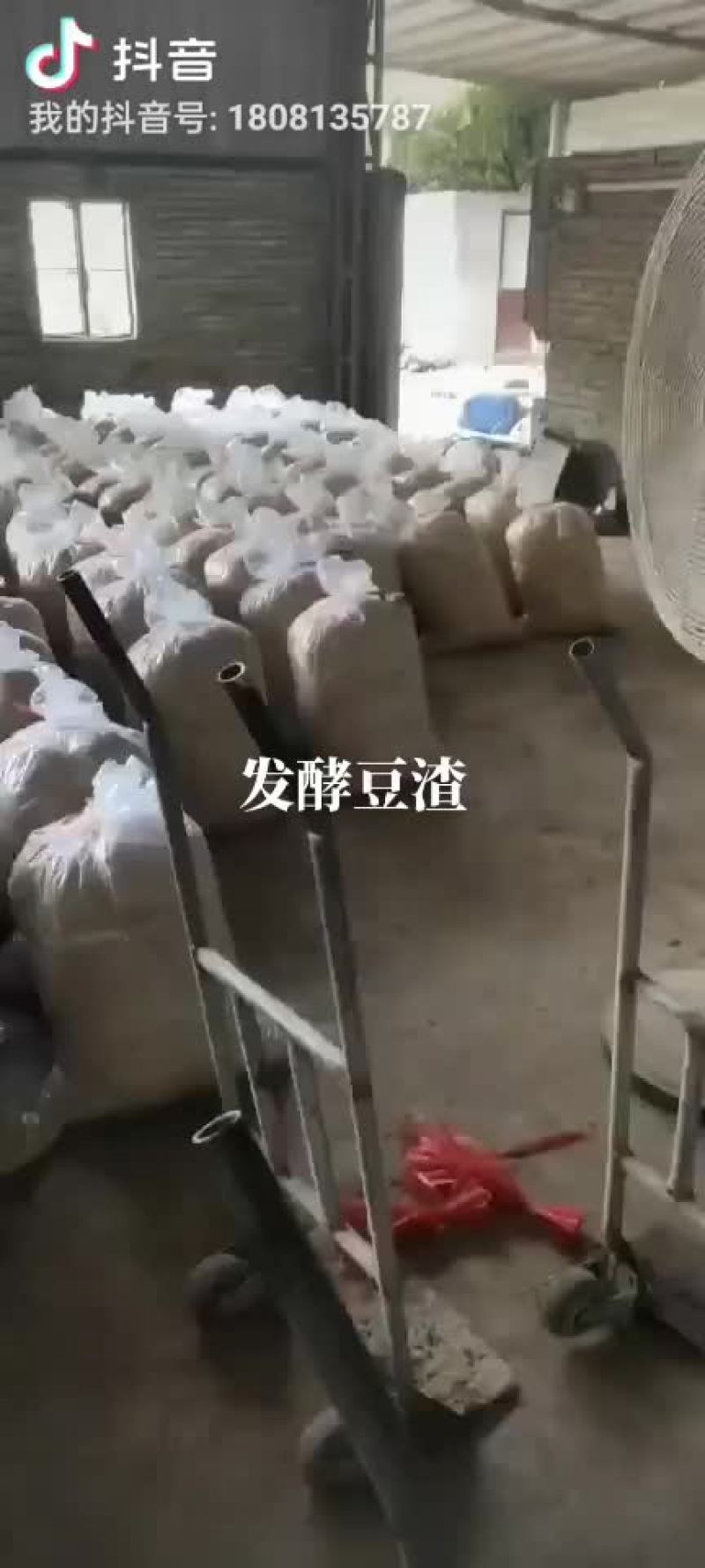 专业发酵料，厂在惠州，欢迎各位老板到厂指导