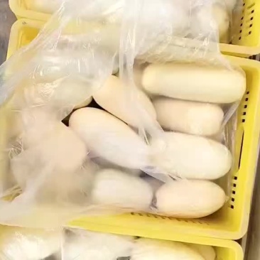 大量笋瓜