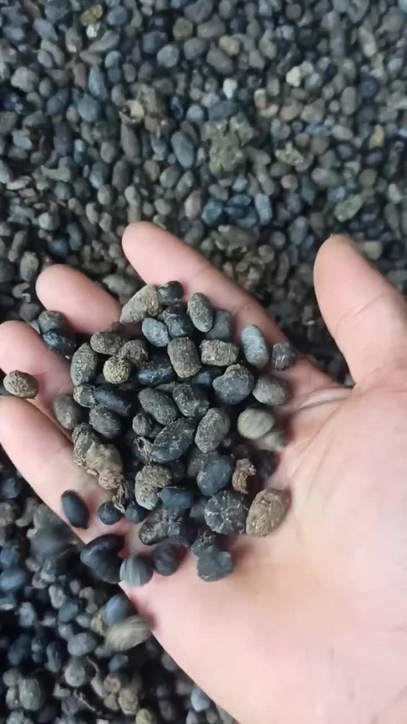 山卡拉长期有机肥羊粪常年供应欢迎致电