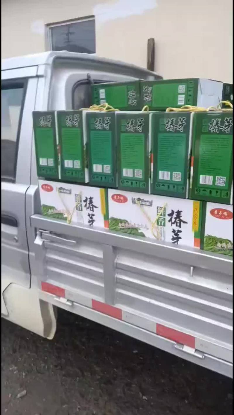 椿芽礼盒