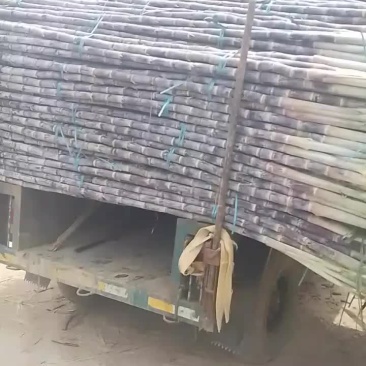 广西甘蔗脆甜化渣需要联系