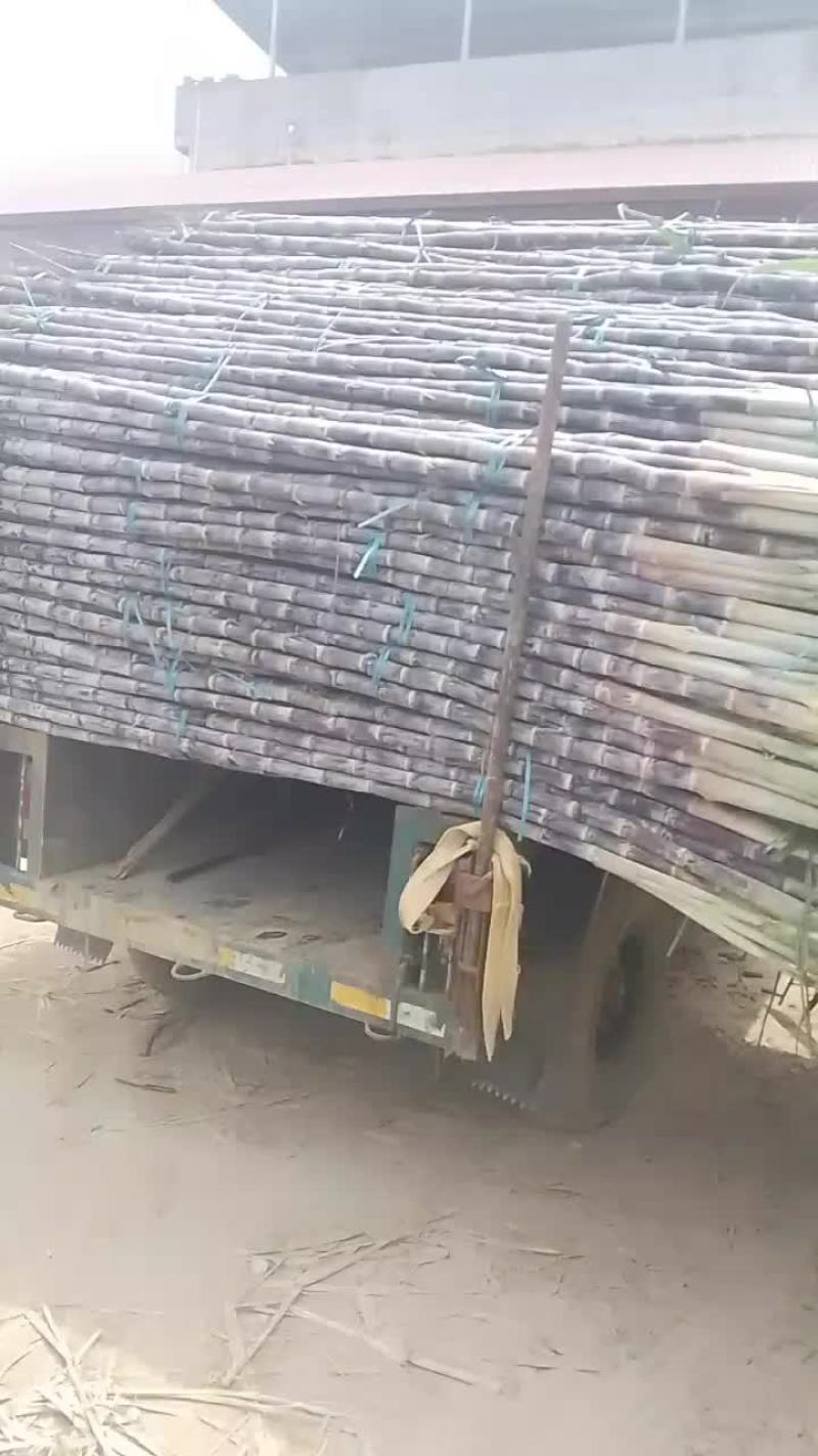 广西甘蔗脆甜化渣需要联系