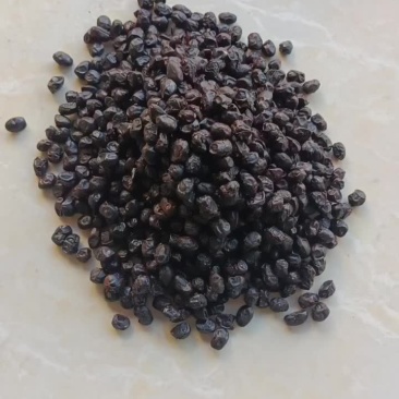 正宗阳江豆豉