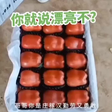 苹果