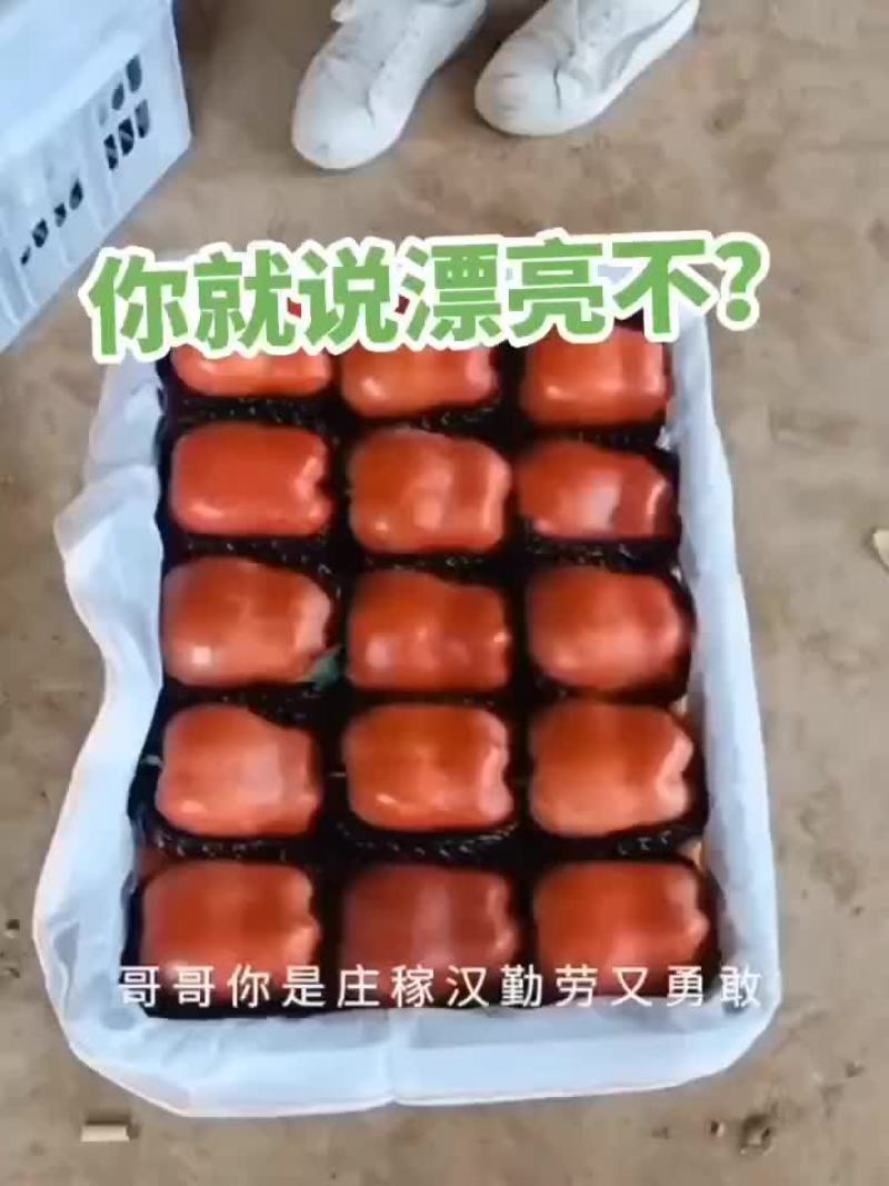 苹果