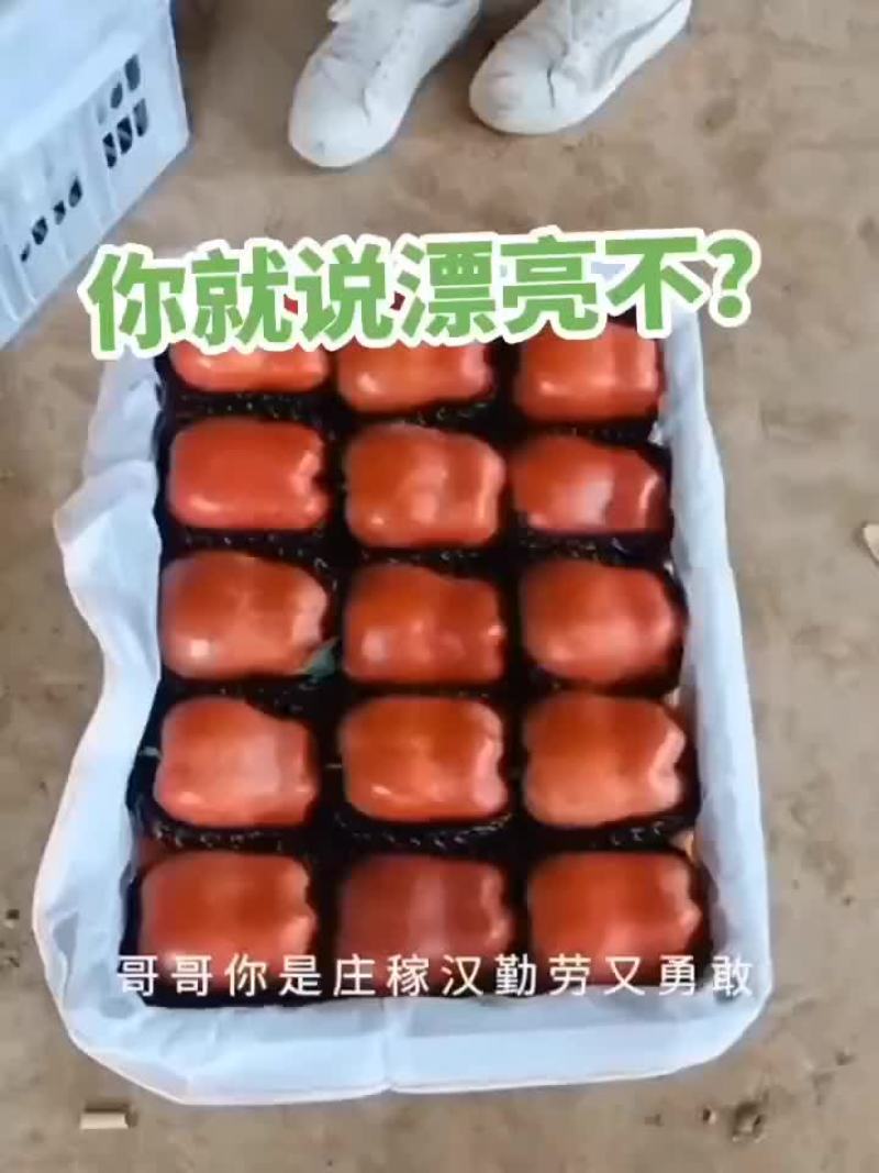 苹果
