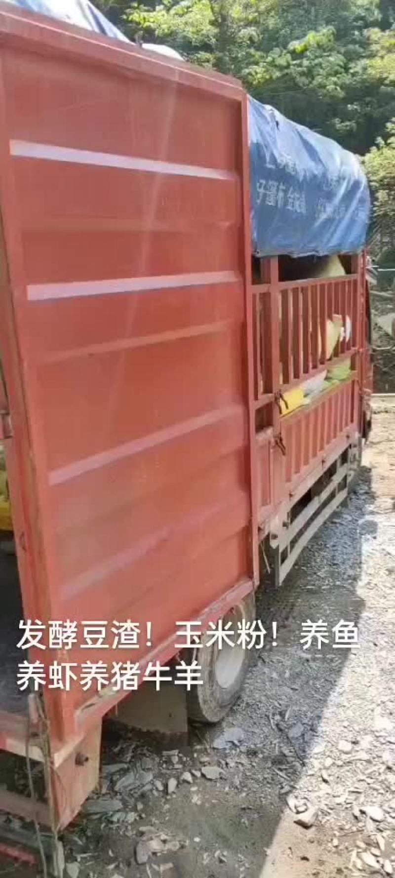 新鲜豆渣发酵豆渣。双层带子更易储存，量大从优。