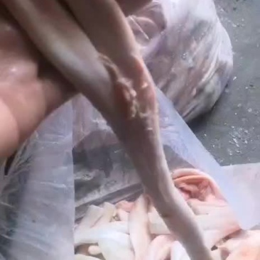 干牛蹄筋