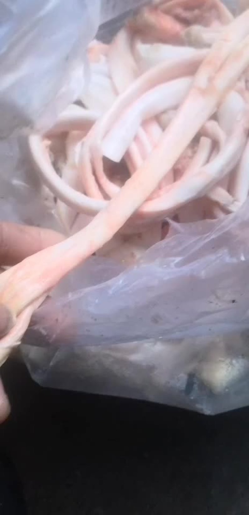 干牛蹄筋