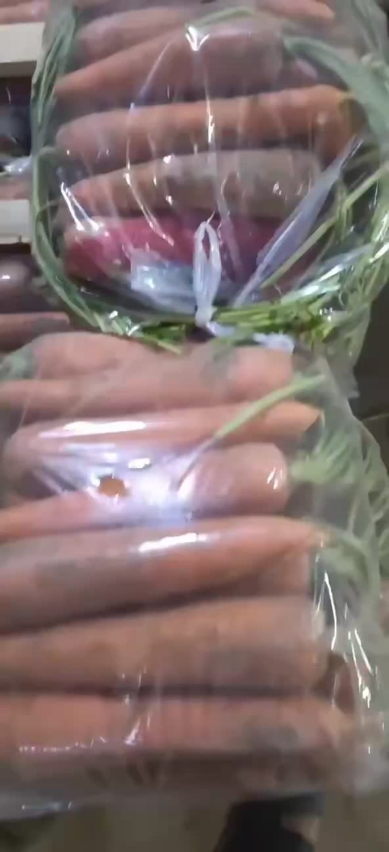 半苗货胡萝卜🥕大量现货供应产品供应价格优惠