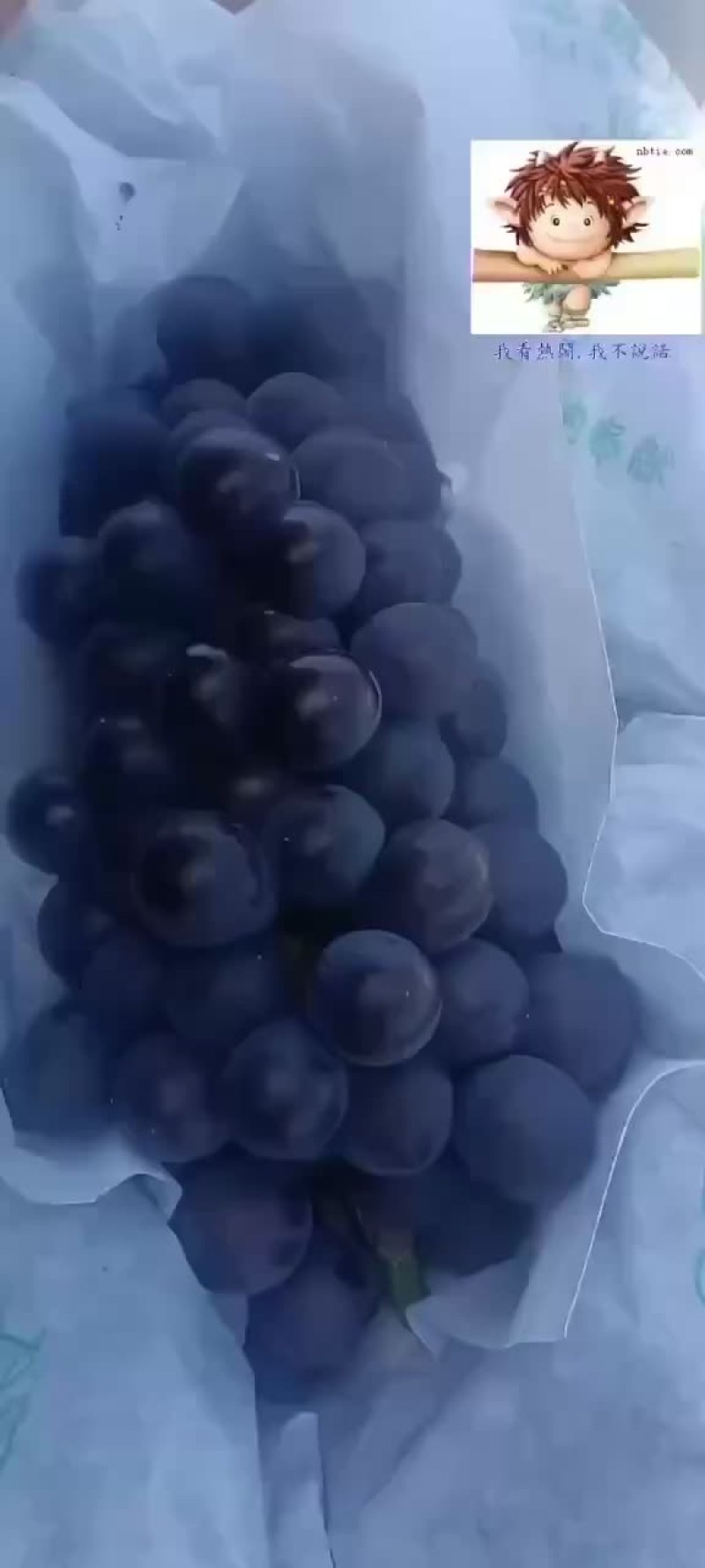 巨峰葡萄