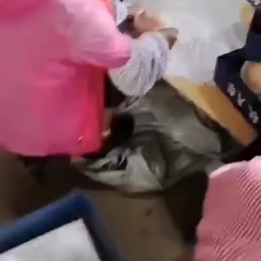 精品秋月梨，加工中，口感很好，个大，表光好！