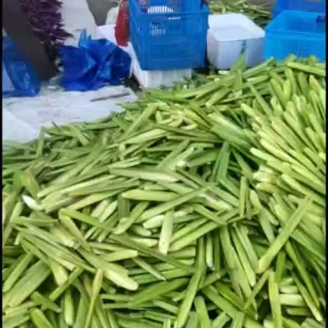 磐安高山茭白
