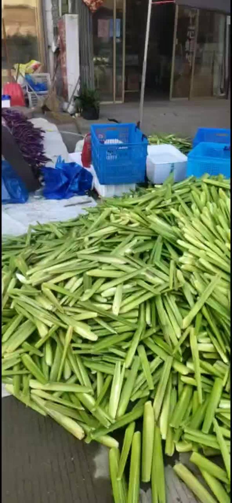磐安高山茭白