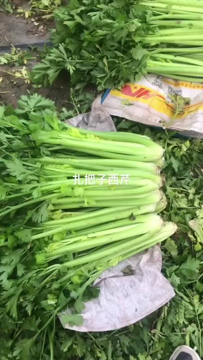 西芹