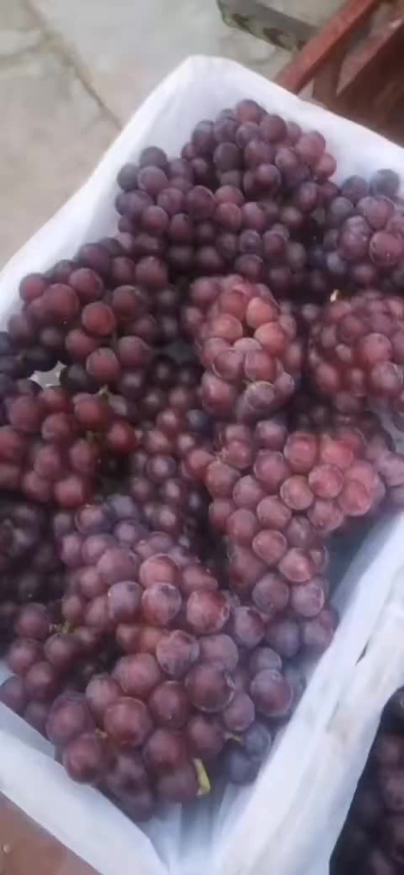 巨峰葡萄