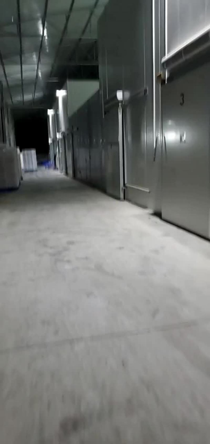 云南石屏。速冻杨梅。东魁杨梅速冻。需要的老板联系
