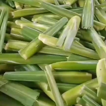 景宁县茭白