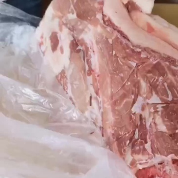 肥猪前上肉两片装冷冻猪产品猪肉新货新开