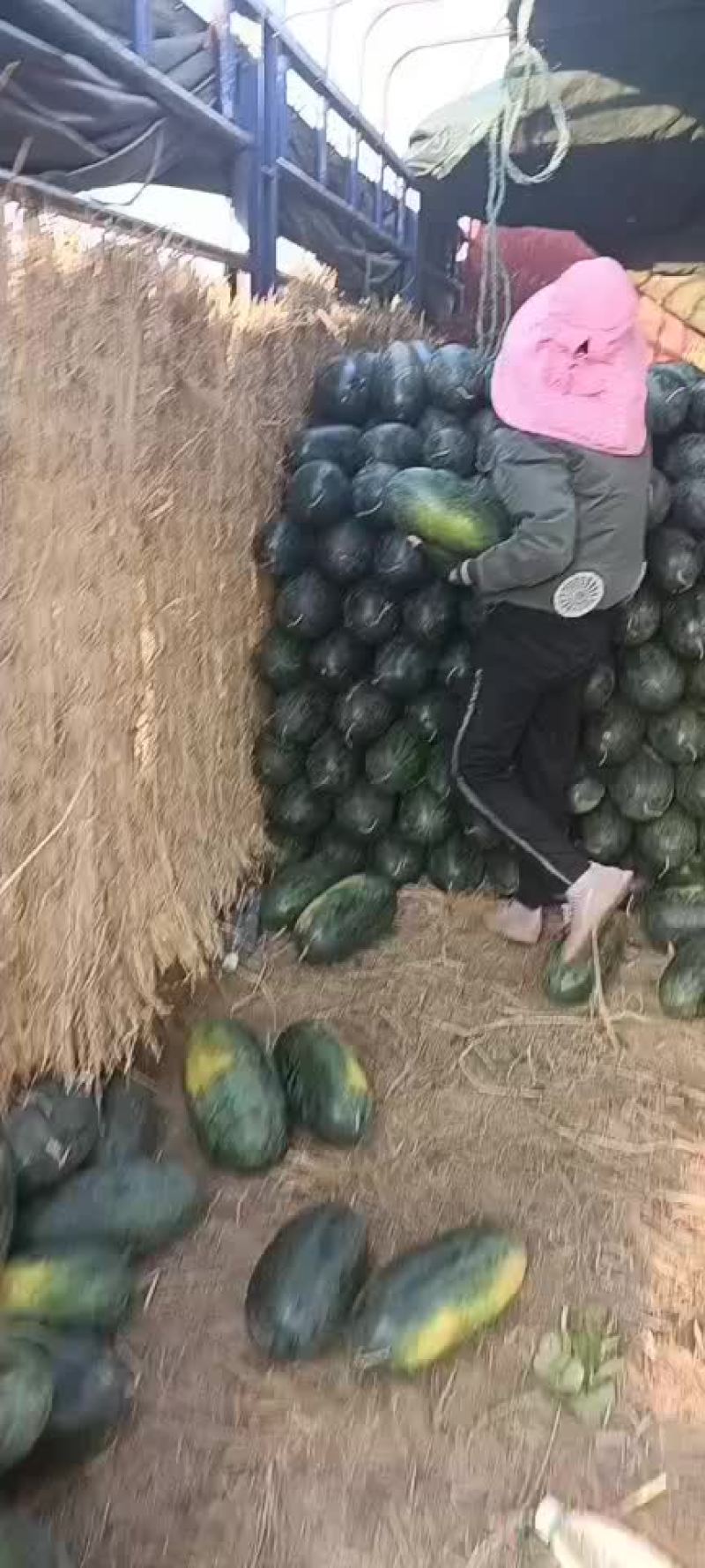 扶绥黑美人好吃