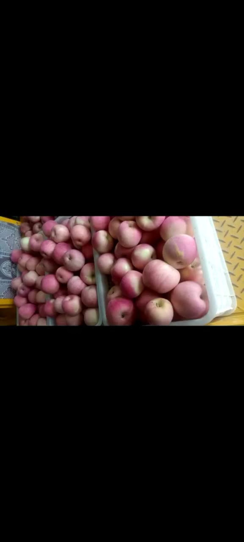 宁夏中卫富硒苹果