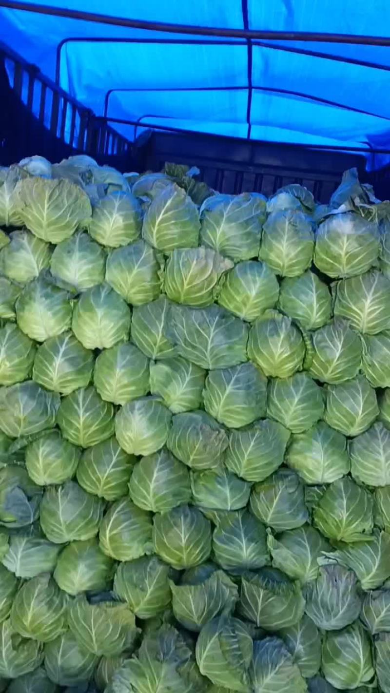 河北邯郸南大堡蔬菜市场