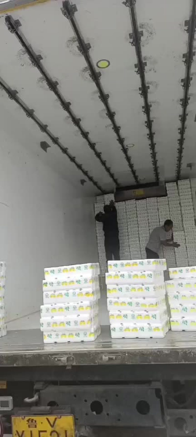寿光市蔬菜圣女果之乡千喜已上市，粉贝贝会陆续上市