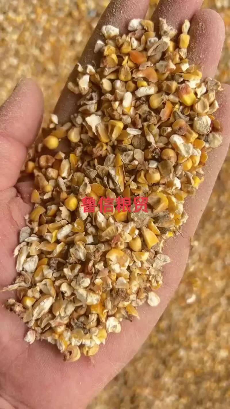 碎玉米全年现货供应碎玉米小麦豆粕草籽