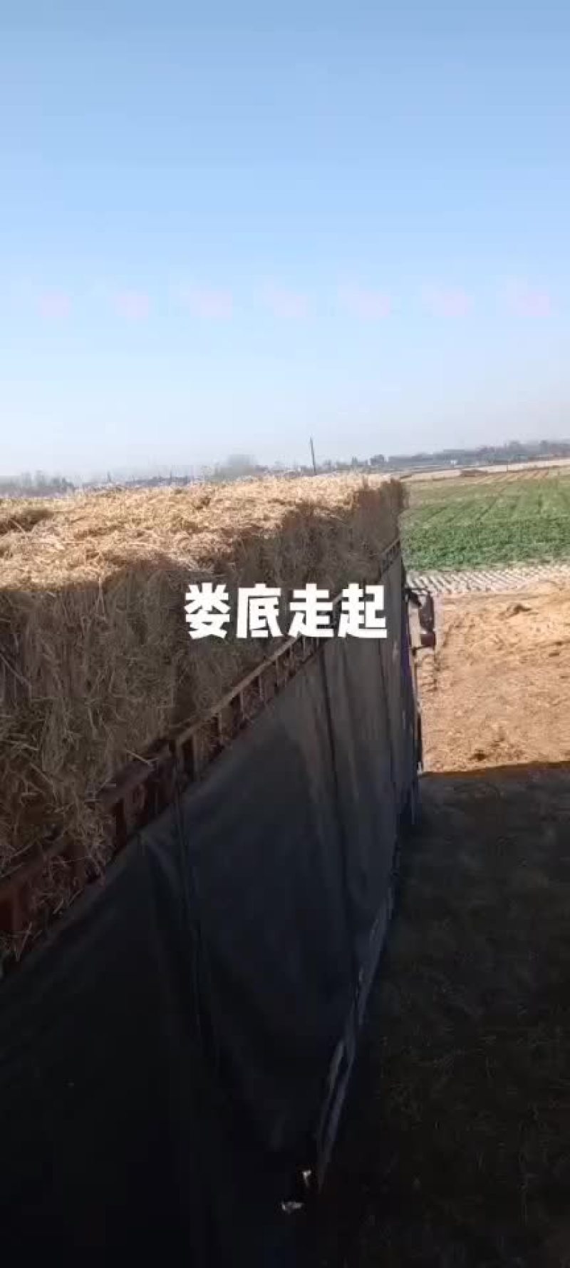 华沐秸杆合作社：2023年九月一日新稻草大量上市