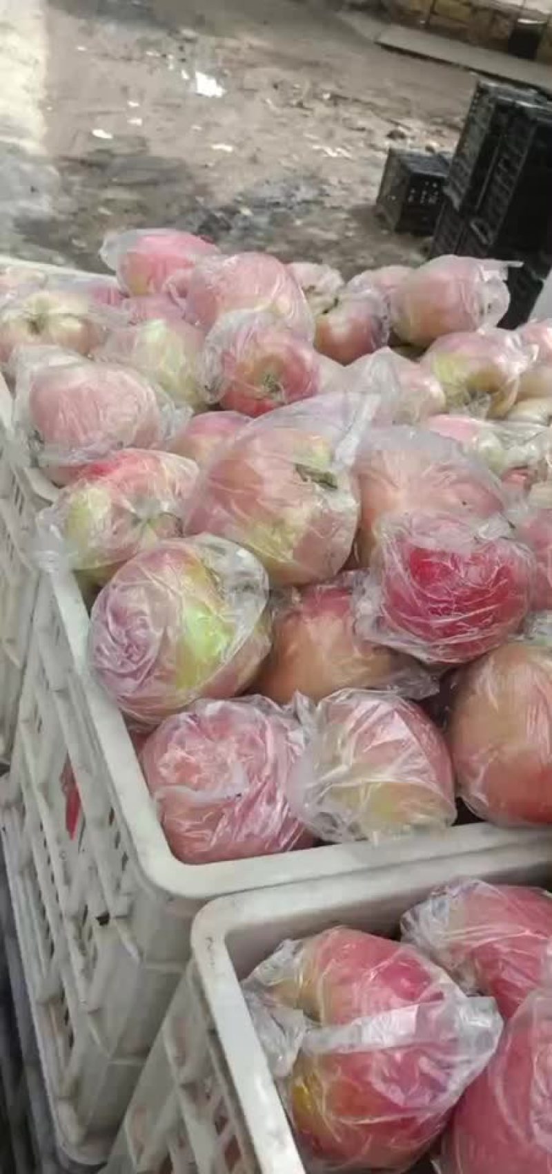 中秋王要的速度啦