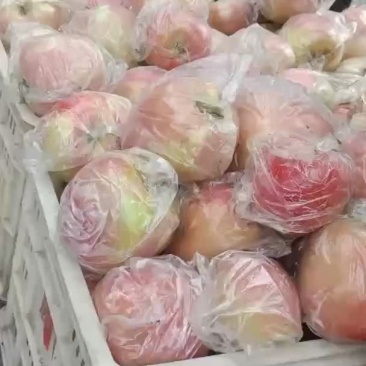 中秋王要的速度啦