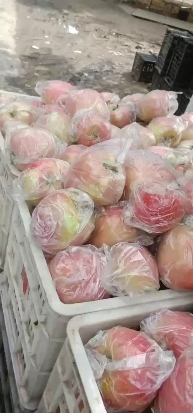 中秋王要的速度啦