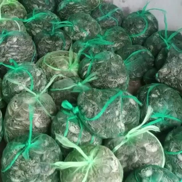 长荡湖大闸蟹1两规格