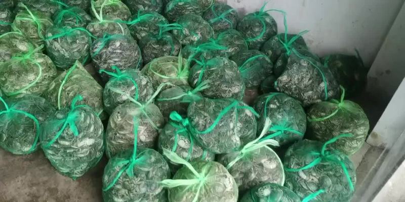 长荡湖大闸蟹1两规格