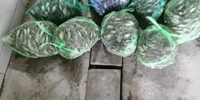 长荡湖大闸蟹1两规格